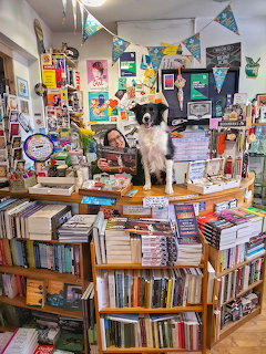 Border colie dog sitting on a counter in a cozy bookshop filled with books and colorful decorations