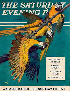 Vintage Macaw Cover