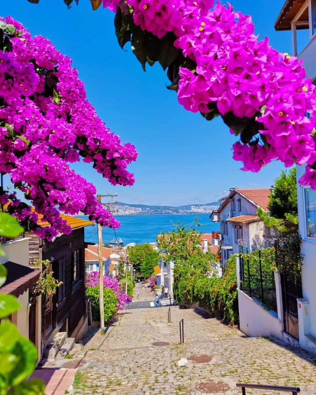 Jigsaw puzzle image