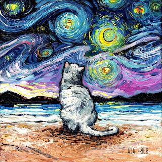 Cat Under Starry Night Sky