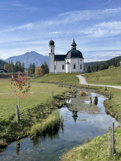 Alpine meadow with wildflowers in the Tirol mountains