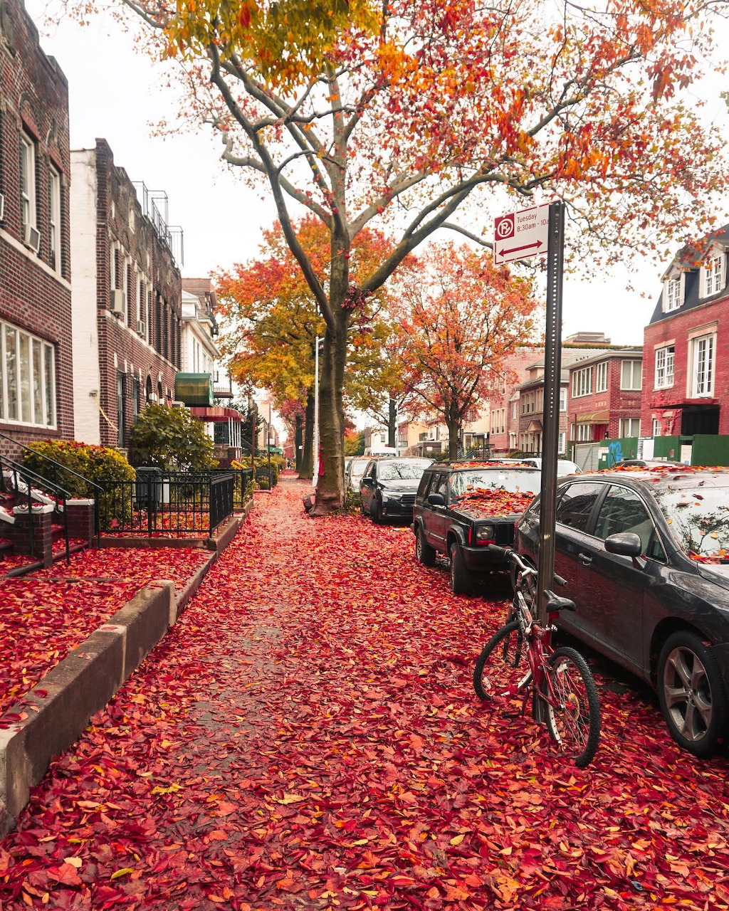 Residential street blanketed with red autumn leaves, lined with row houses, parked cars, and a bicycle