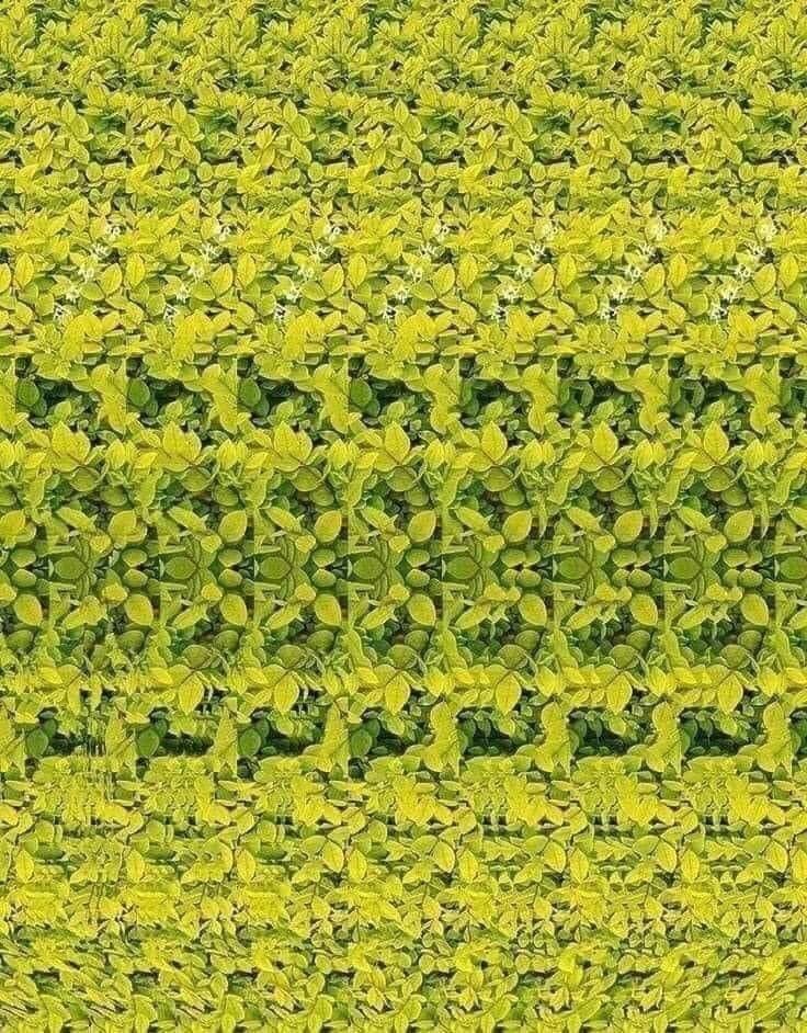 Magic Eye Autostereogram