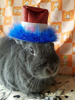 Gray Rabbit in Red Hat