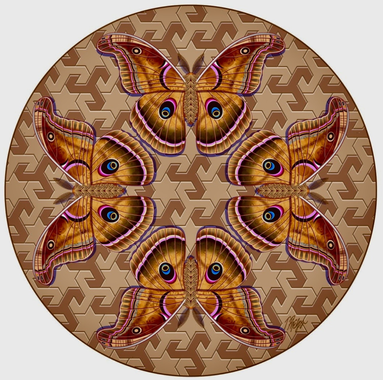 Six decorative moths arranged in a circular mandala on a tan geometric patterned background