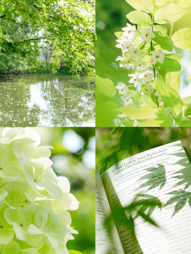 Collage of green leaves, white flowers, pond reflection, and botanical book page