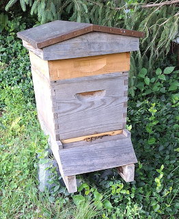 Rustic wooden beehive in grass with a few bees near the entrance