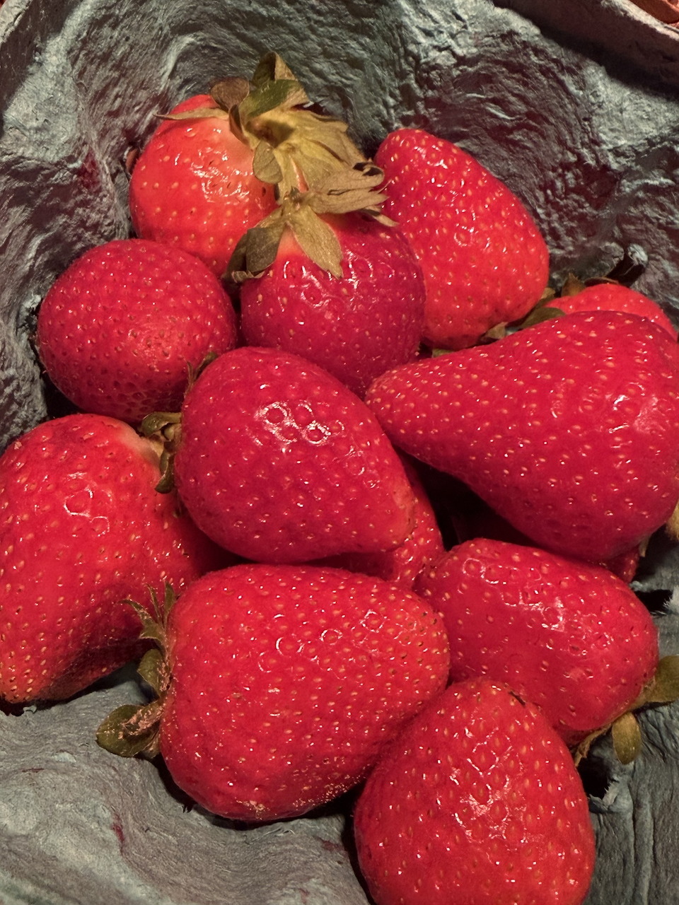Strawberry dessert with fresh red strawberries and cream