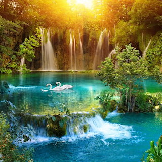 Tropical Waterfall Paradise Lake