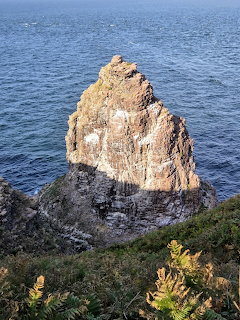 Tall weathered rock formation jutting from blue ocean water with green coastal plants in foreground