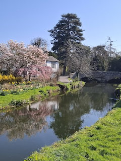 Pink cottage by a river with cherry blossoms, stone bridge, and spring gardens on a sunny day