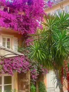 House facade draped in pink bougainvillea beside green palm-like plants