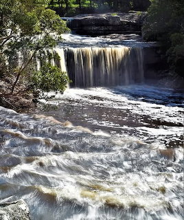 Forest Waterfall