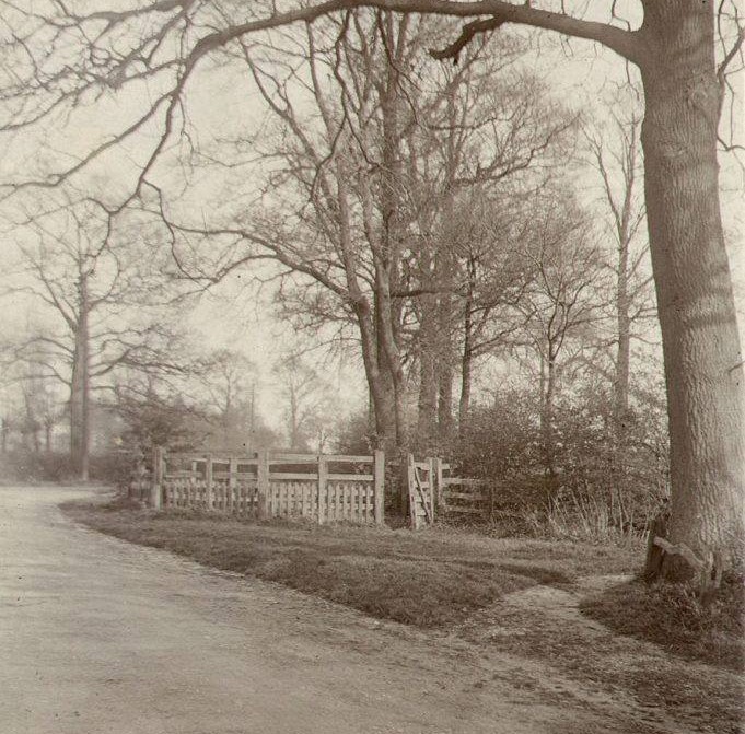 Sepia photo of a dirt road, leafless trees, and a white fence in a rural landscape