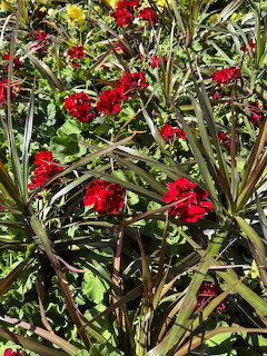 Red Flowers and Green Foliage
