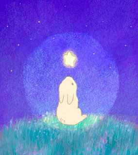 Bunny and a Star