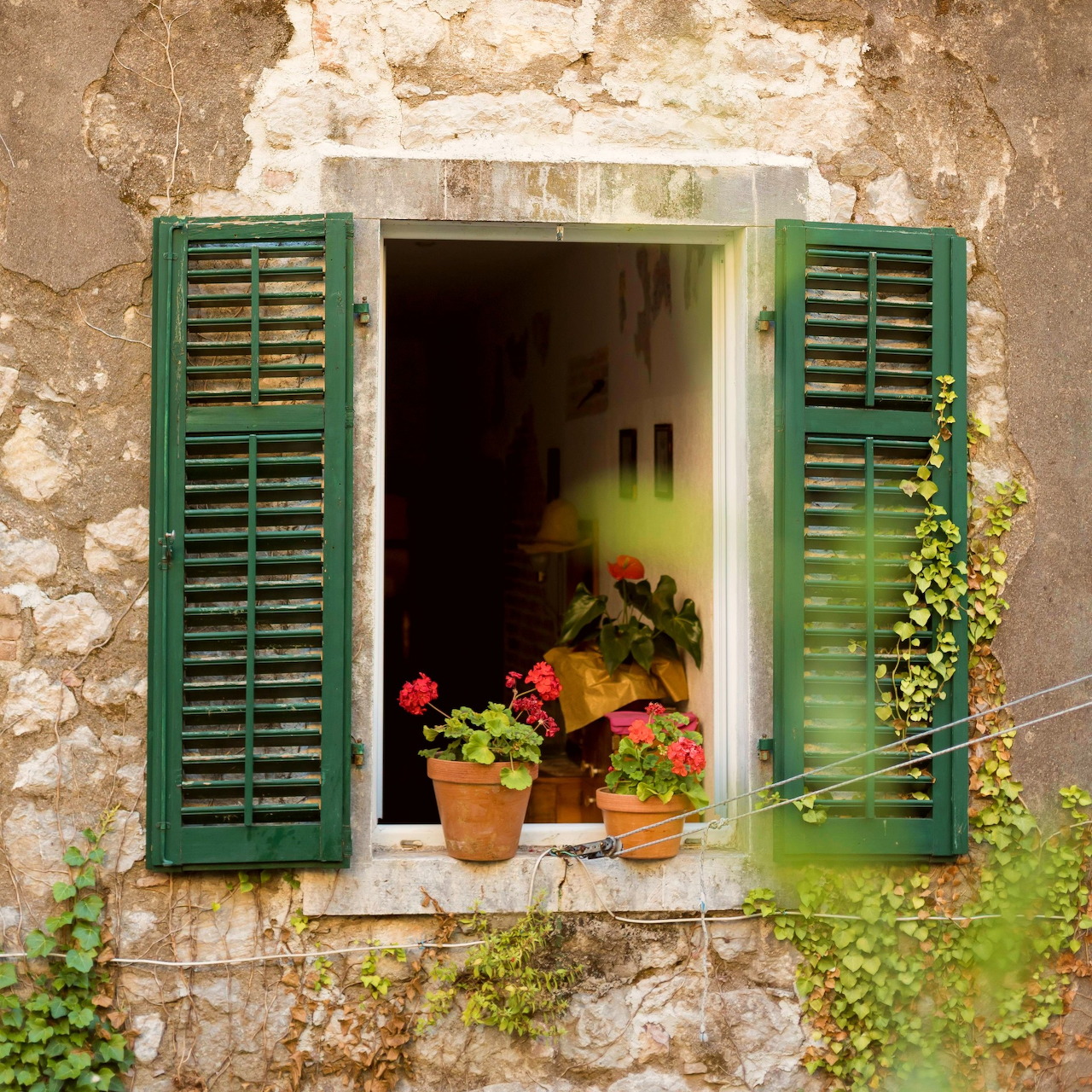 Old window with green shutters, flower pots, and ivy on weathered stone wall