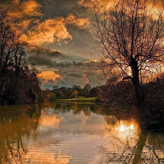 Dramatic orange sunset with clouds reflected in a calm lake surrounded by silhouetted trees