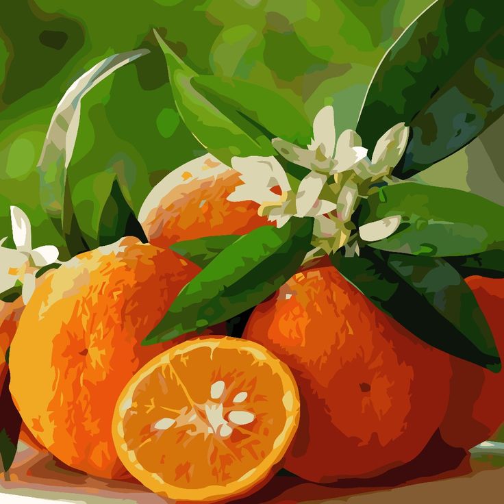 Orange Blossoms