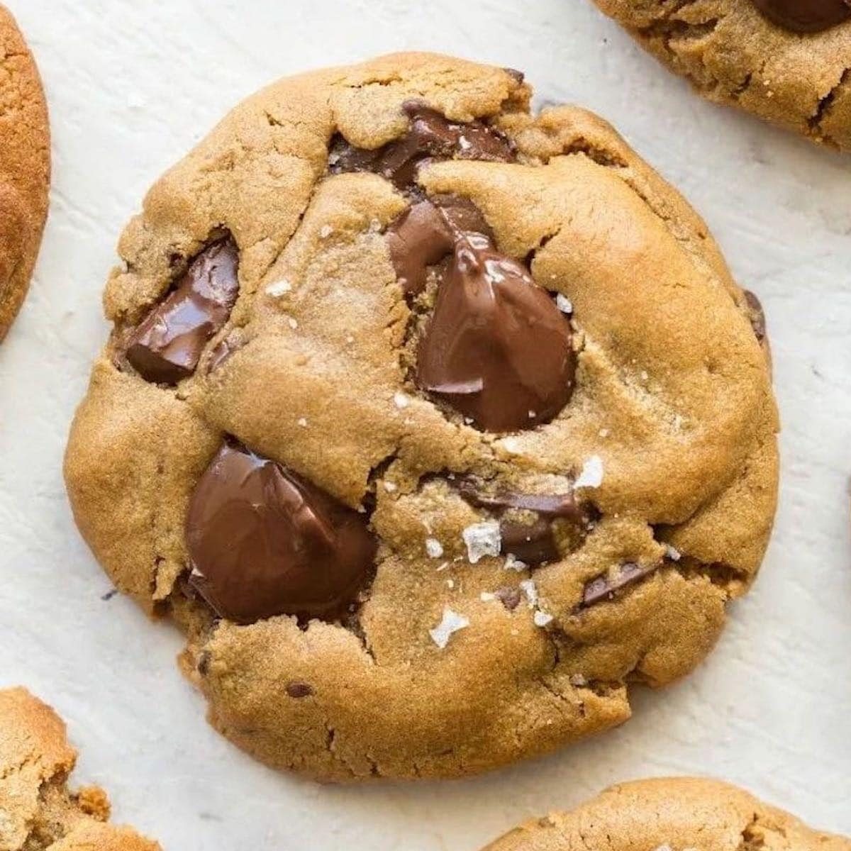 Chocolate Chip Cookie