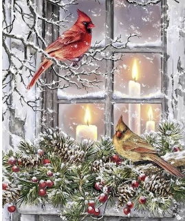 Red and yellow cardinals on snowy branches by candlelit window with pine and holly berries