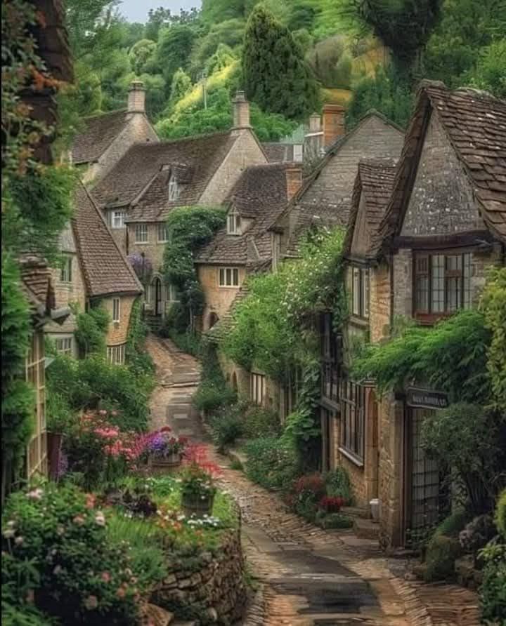 Row of old stone cottages along a narrow lane with lush green vegetation and flowers in Bibury, England