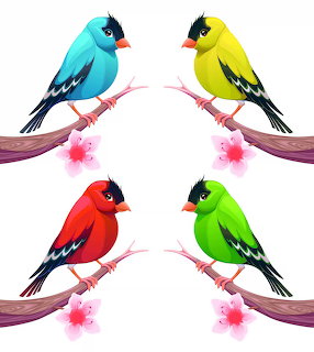 Colorful Birds Illustration