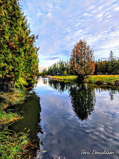 Peaceful pond reflecting trees and clouds, surrounded by green and autumn trees in a garden setting