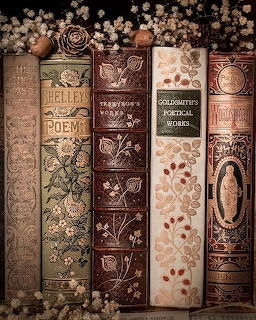 Row of vintage books with ornate embossed spines and floral decorations on aged leather bindings