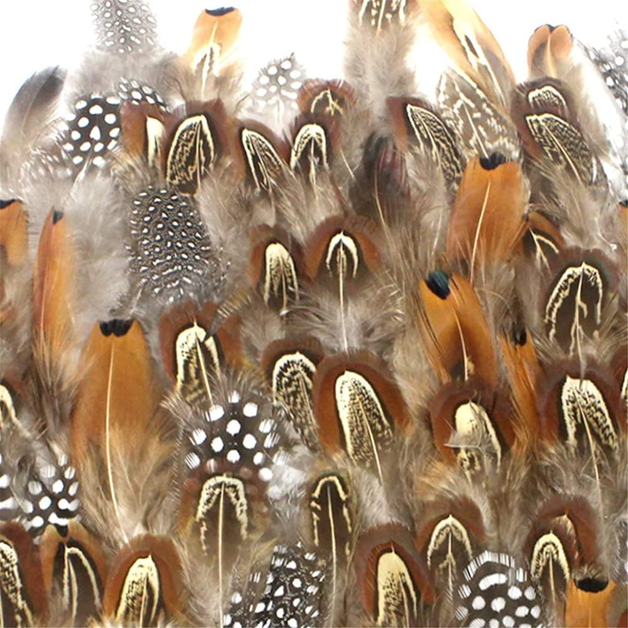 Close-up of layered brown and white spotted feathers with soft texture