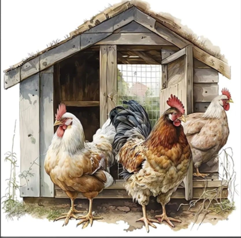 Hens
