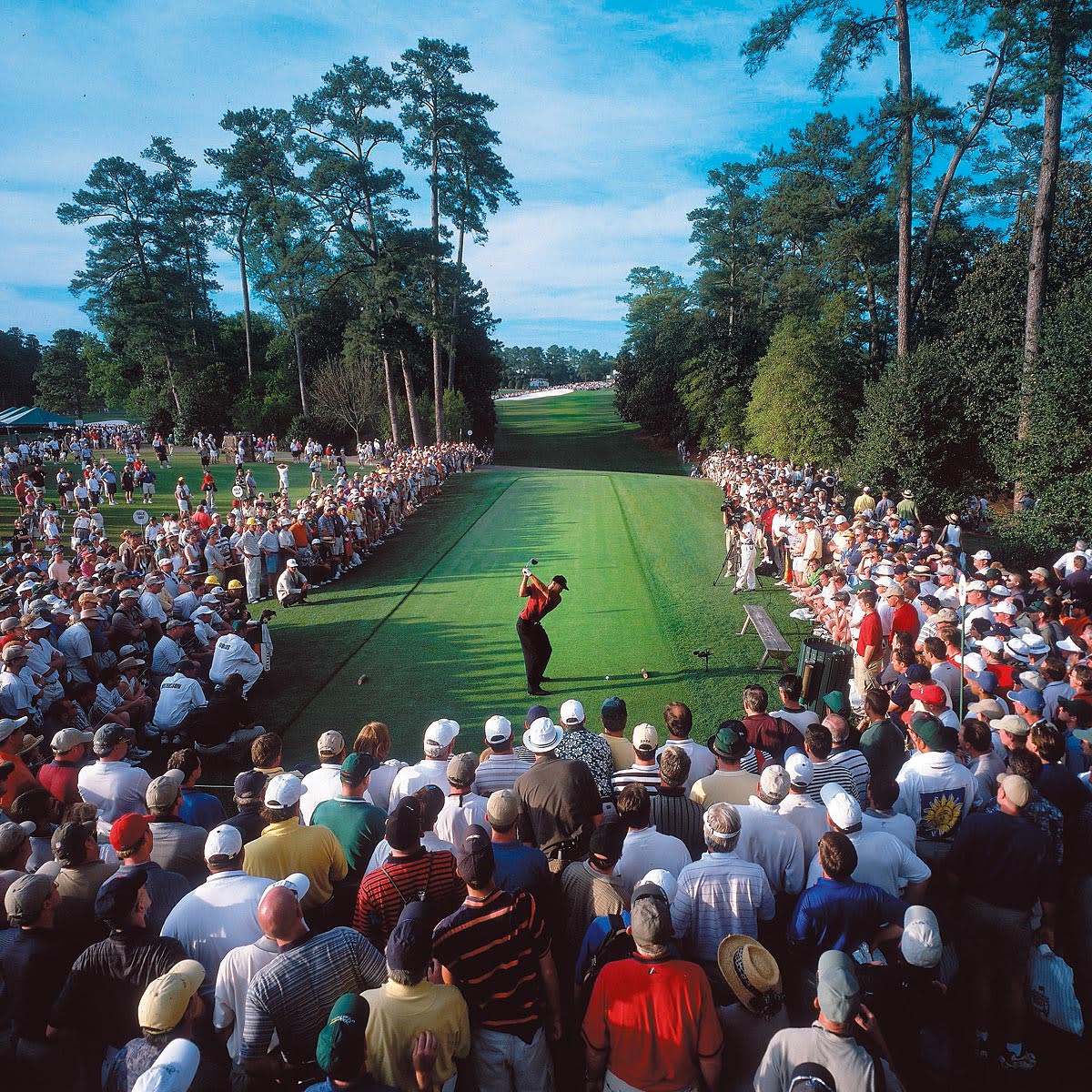 Golfer on a fairway surrounded by spectators and trees at a golf tournament