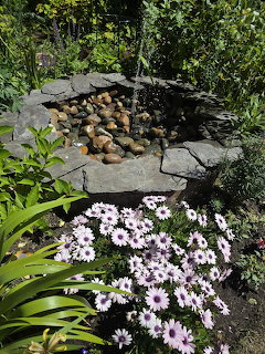 Stone-lined garden pond with pebbles, green plants, and pale purple daisies