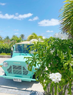 Mint green vintage truck beside tropical plants and white flowers under a blue sky