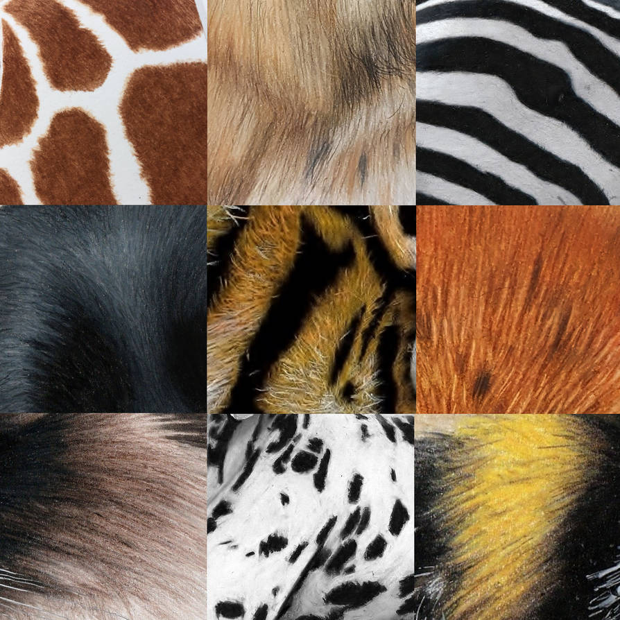 Animal Fur Textures