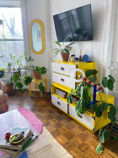 Indoor Plant Corner