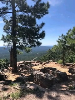 Pine trees and rocky ledge overlooking forested mountains at Mogollon Rim under blue sky