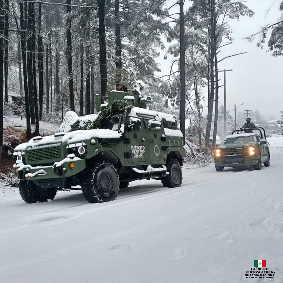 Military Vehicles Snow Forest