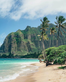 Tropical beach with palm trees, turquoise ocean, and lush green mountain cliffs in background