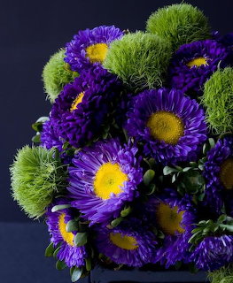 PurpleAsters and Green Chrysanthemums