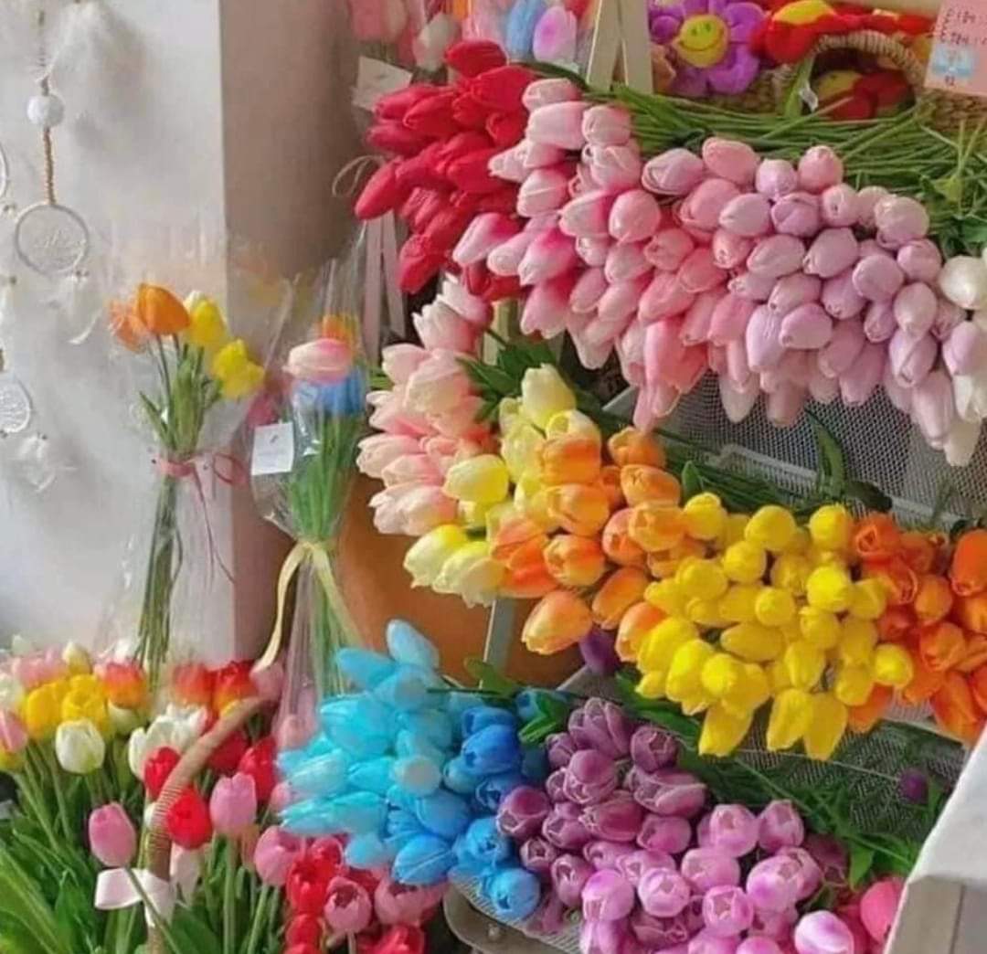Colorful Tulip Bouquets Display