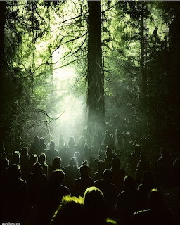 Crowd in Misty Forest