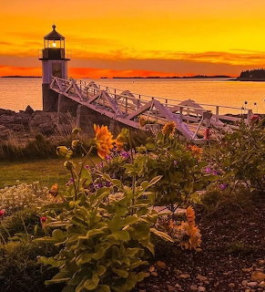 Lighthouse with boardwalk at sunset with yellow wildflowers and orange sky reflecting on calm ocean water