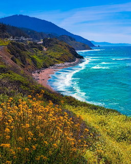Port Orford Oregon Coast