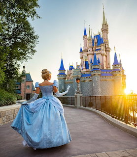 Cinderella Castle Disney Princess