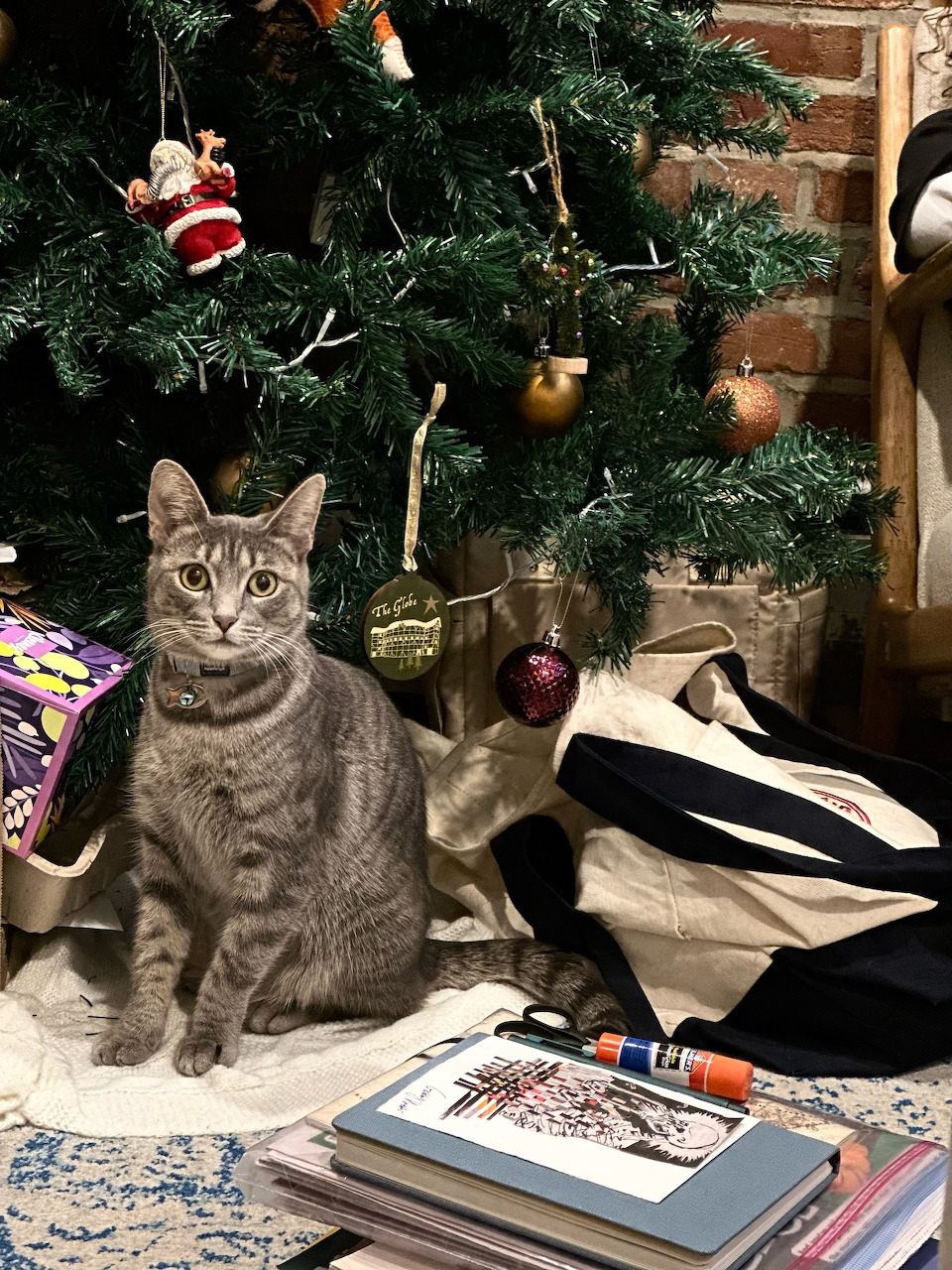 Gray tabby cat sitting under a decorated Christmas tree indoors