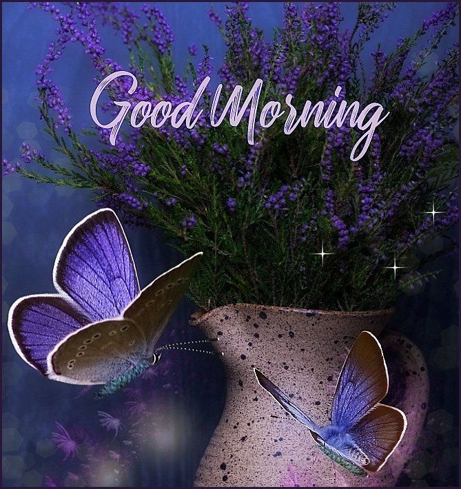 Two purple butterflies on a ceramic pot with lavender flowers and a starry blue background