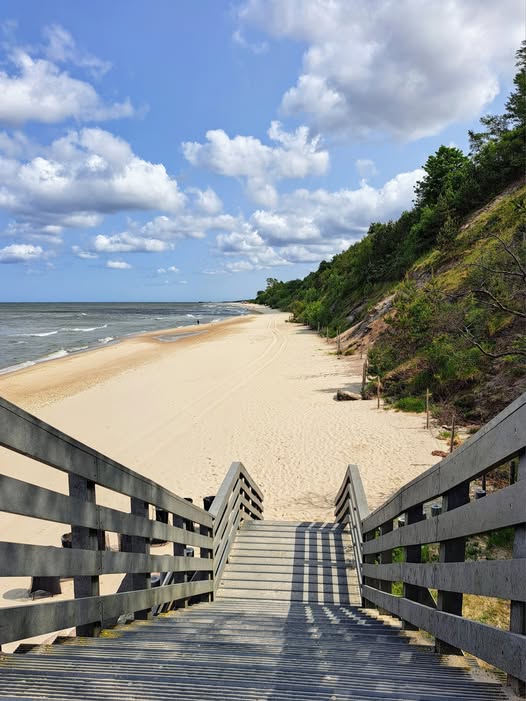 Wooden boardwalk stairs descending to a wide sandy beach with forested cliff and blue sky