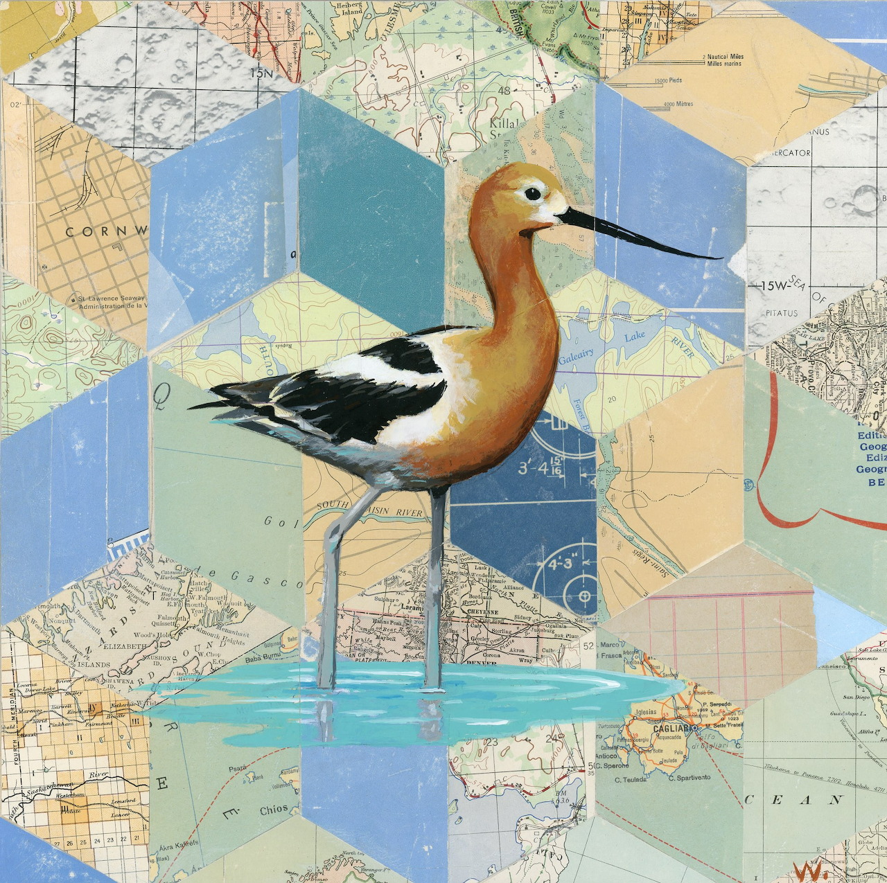 Avocet bird illustration with vintage map collage and blue geometric background