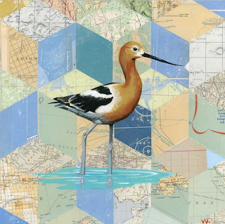Avocet by Carl Wiens